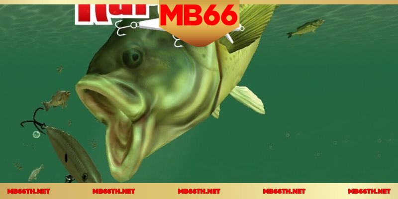 สัมผัสประสบการณ์เกมยิงปลาที่เหนือกว่าใคร