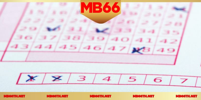 คำตอบสำหรับทุกข้อสงสัยเกี่ยวกับลอตเตอรี่เคโนะ