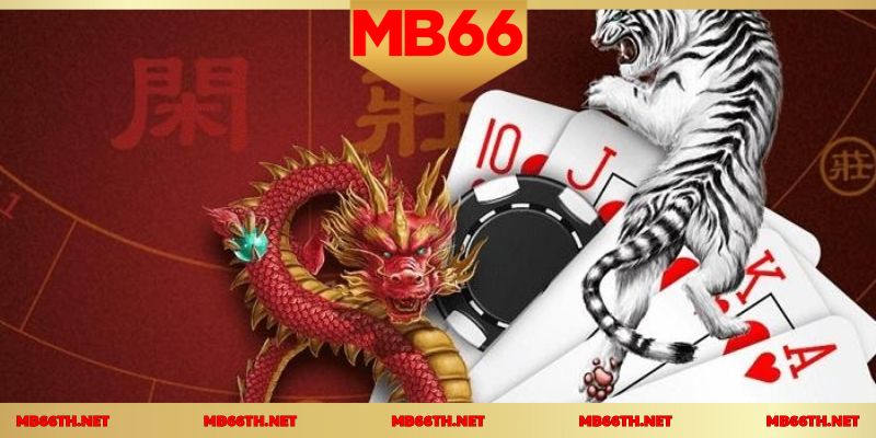 เทคนิคการวางเดิมพันอย่างมีหลักการเพื่อเพิ่มโอกาสชนะ